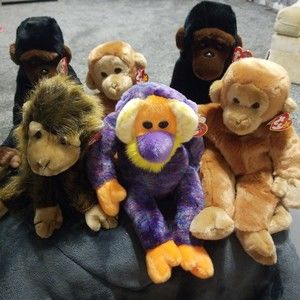 Ty Beanie Babies Buddy Monkey bundle NWT